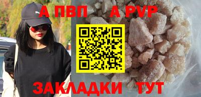 стаф Кунгур
