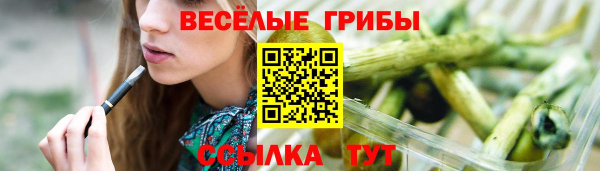 Псилоцибиновые грибы MAGIC MUSHROOMS Зима