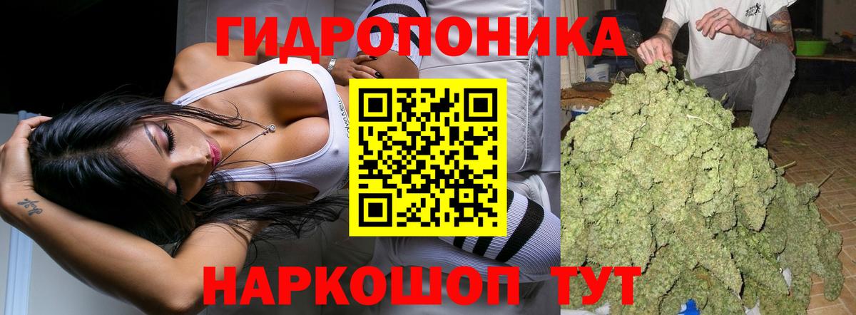Марихуана тримм Зима